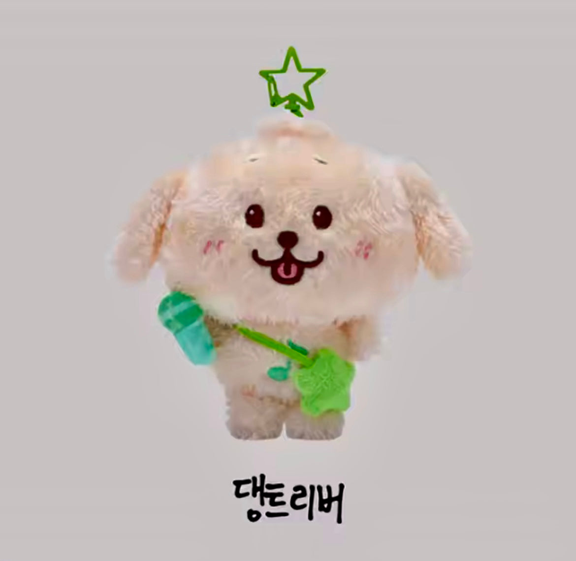 NCT WISH KEYCHAIN FANLIGHT - EDITION LIMITED